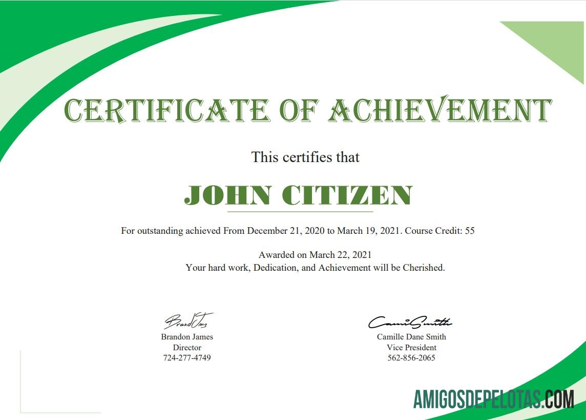 Em branco modelo de certificado de desempenho dos EUA em formato Word e PDF